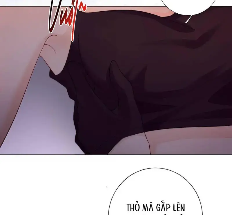 Gió Lớn Hôn Ánh Trăng - Pheromone Chapter 47 - Trang 36
