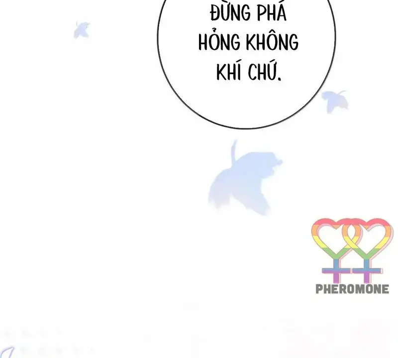 Gió Lớn Hôn Ánh Trăng - Pheromone Chapter 49 - Trang 43