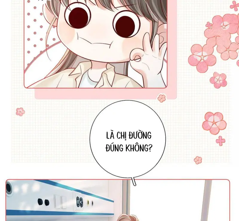 Gió Lớn Hôn Ánh Trăng - Pheromone Chapter 50 - Trang 13