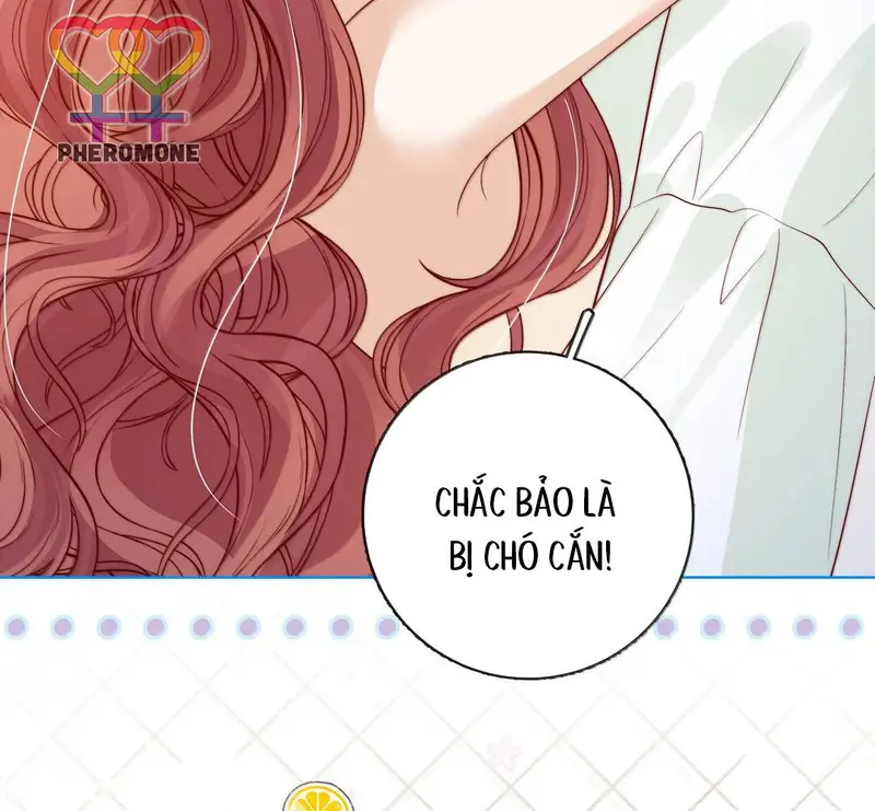 Gió Lớn Hôn Ánh Trăng - Pheromone Chapter 55 - Trang 21