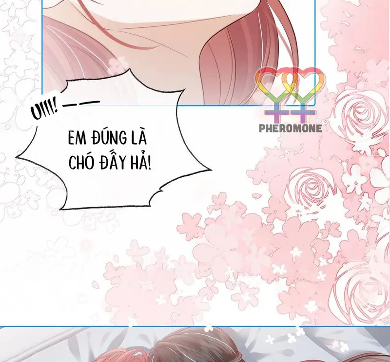 Gió Lớn Hôn Ánh Trăng - Pheromone Chapter 55 - Trang 26