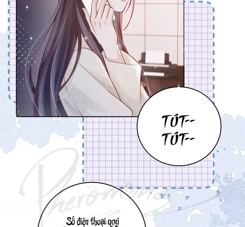 Gió Lớn Hôn Ánh Trăng - Pheromone Chapter 65 - Trang 14