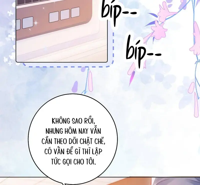 Gió Lớn Hôn Ánh Trăng - Pheromone Chapter 66 - Trang 9