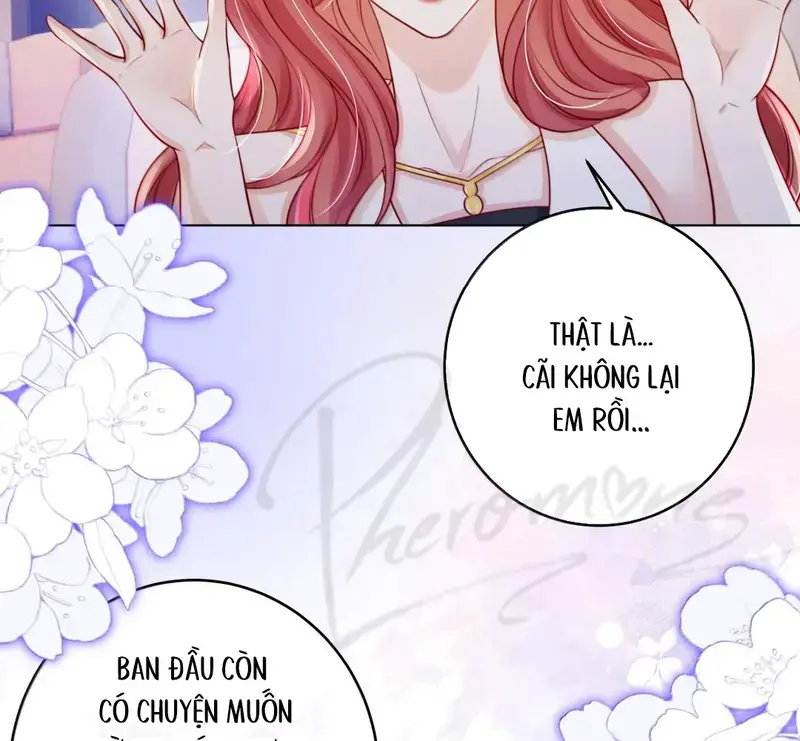 Gió Lớn Hôn Ánh Trăng - Pheromone Chapter 67 - Trang 29