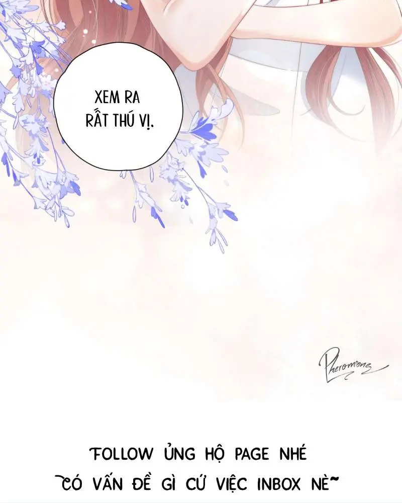 Gió Lớn Hôn Ánh Trăng - Pheromone Chapter 8 - Trang 43