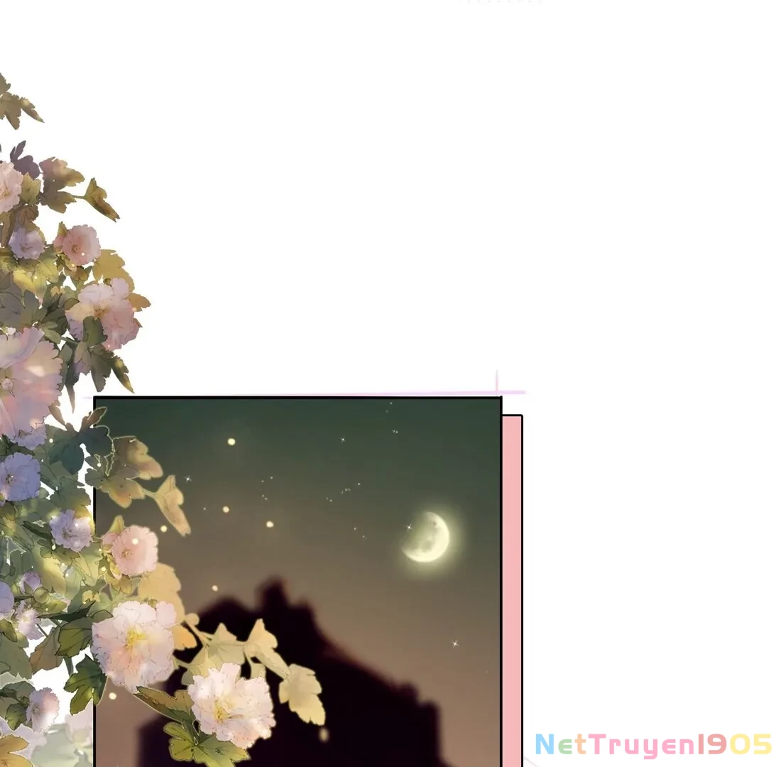 Gió Lớn Hôn Ánh Trăng Chapter 2 - Trang 15