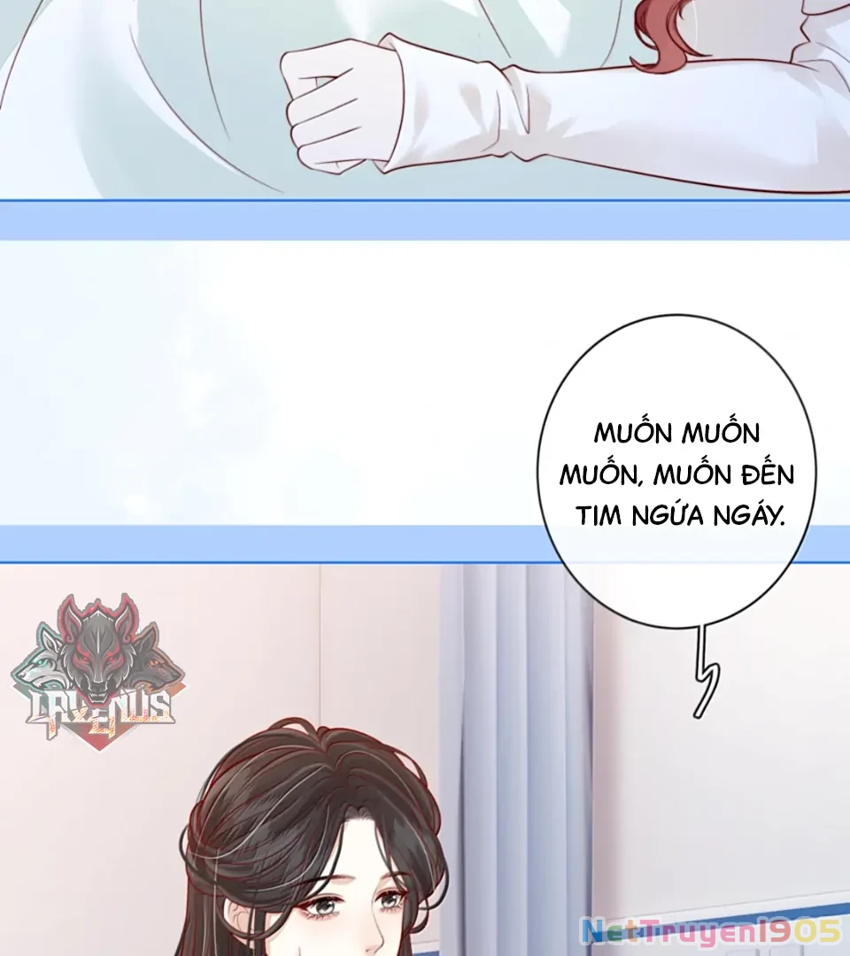 Gió Lớn Hôn Ánh Trăng Chapter 54 - Trang 30