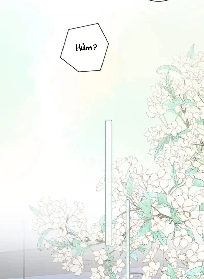Gió Lớn Hôn Ánh Trăng Chapter 58 - Trang 14