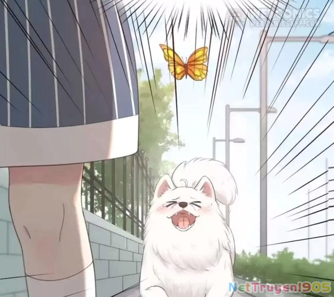 Giờ nay cô ấy cũng rất dễ thương Chapter 40 - Trang 12