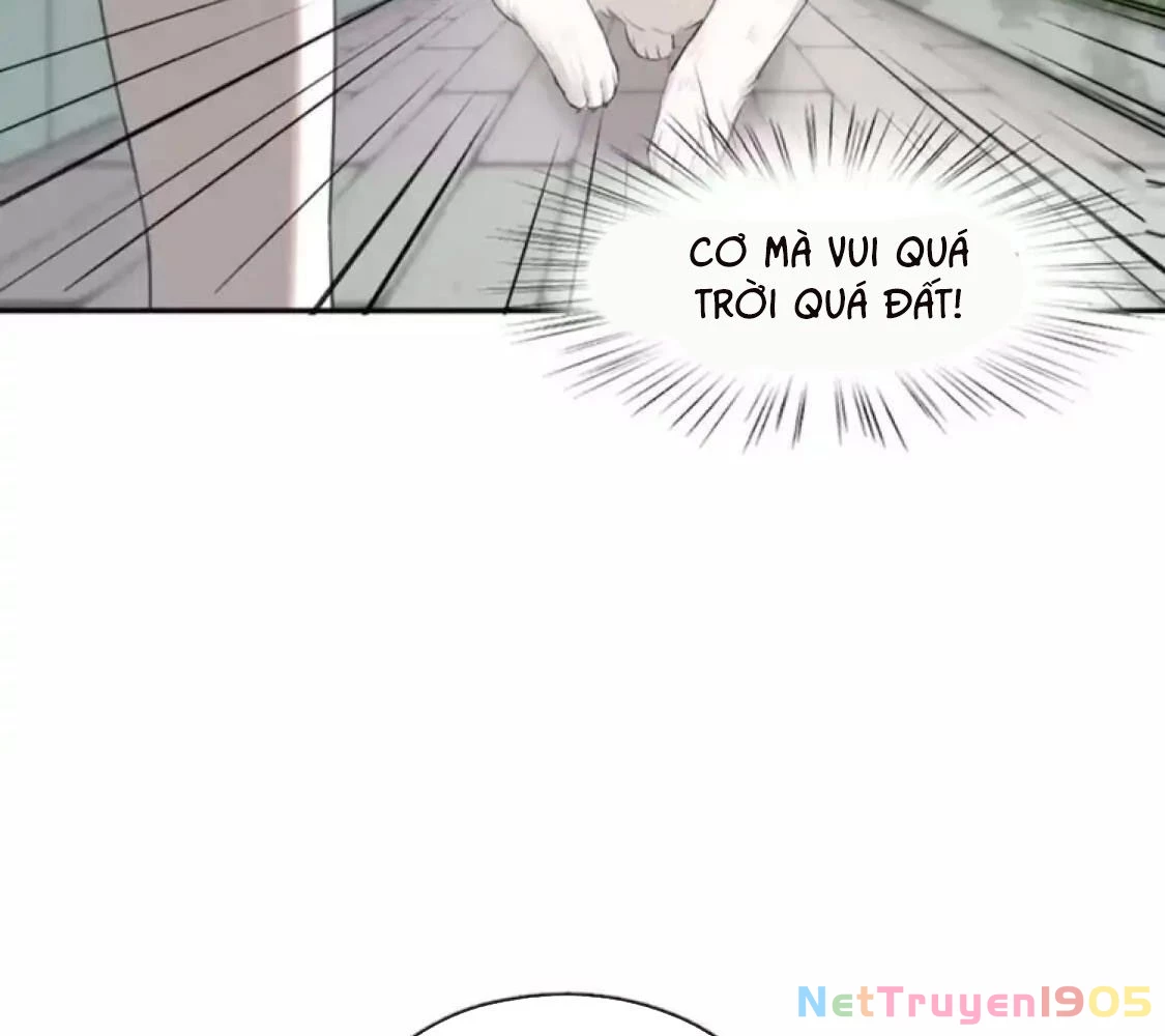 Giờ nay cô ấy cũng rất dễ thương Chapter 40 - Trang 13
