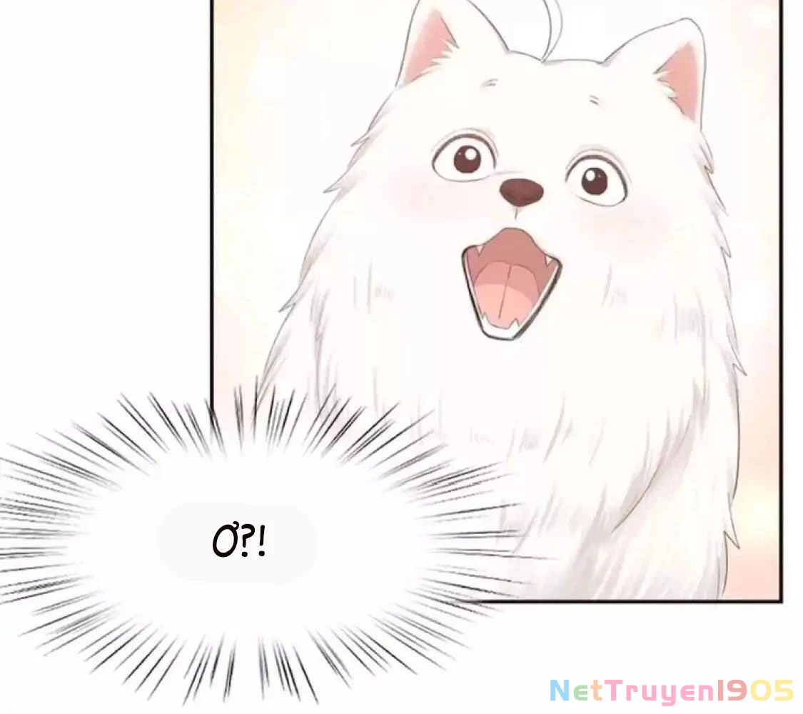 Giờ nay cô ấy cũng rất dễ thương Chapter 40 - Trang 15