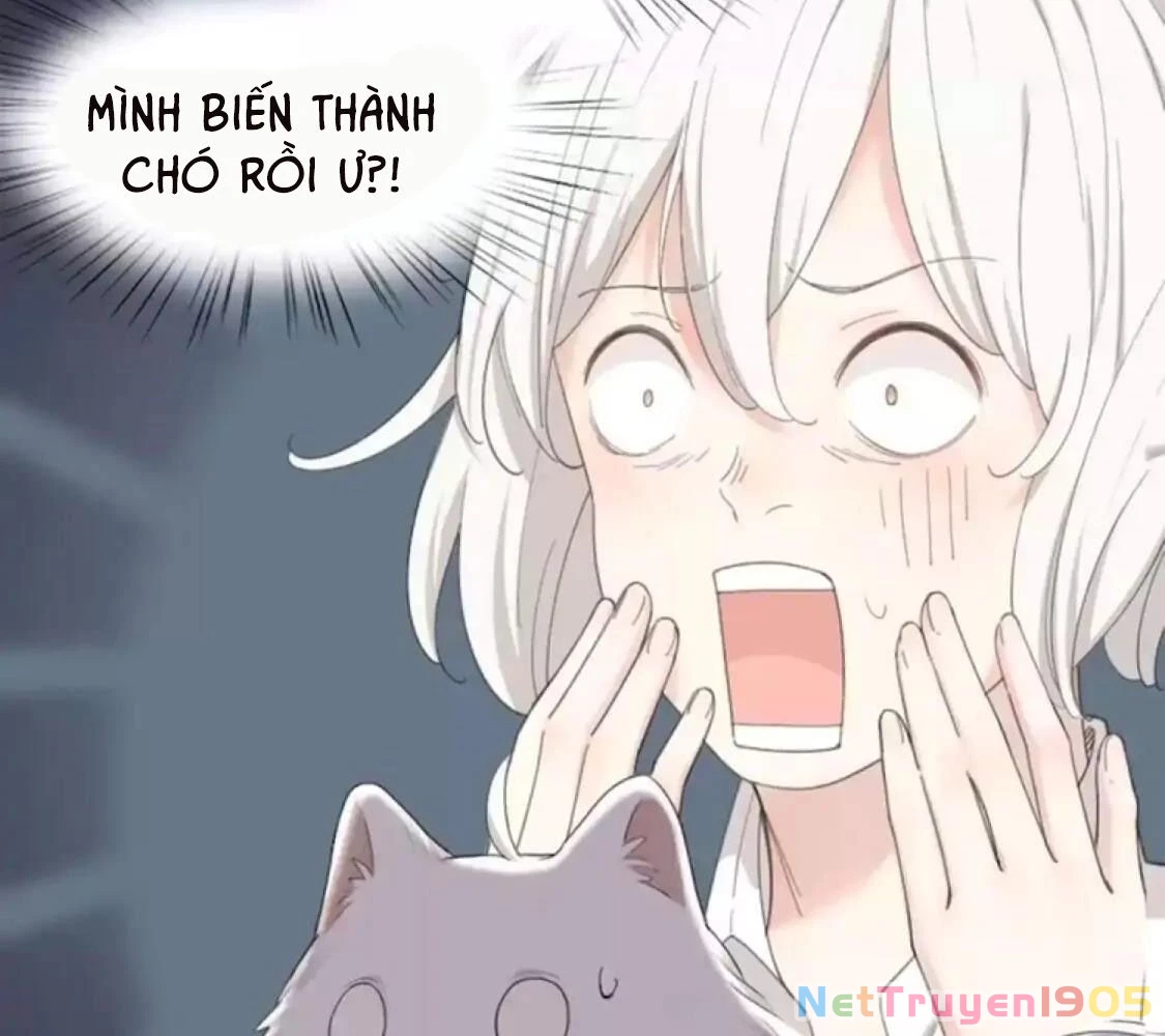 Giờ nay cô ấy cũng rất dễ thương Chapter 40 - Trang 7