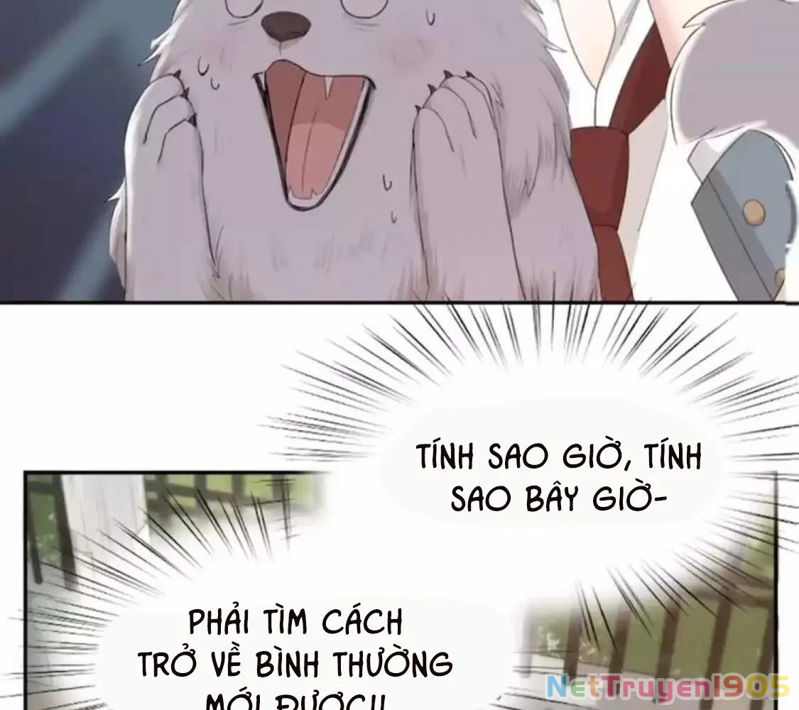 Giờ nay cô ấy cũng rất dễ thương Chapter 40 - Trang 8