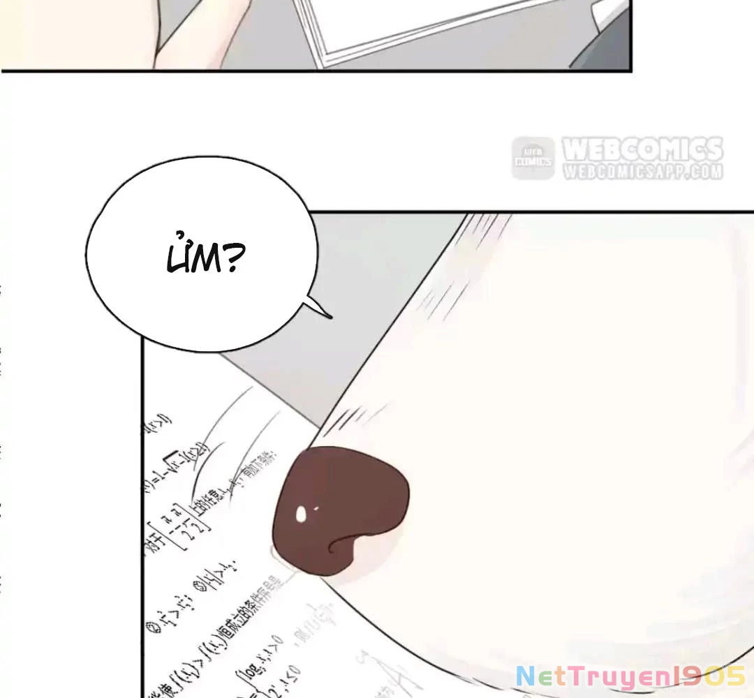 Giờ nay cô ấy cũng rất dễ thương Chapter 51 - Trang 49