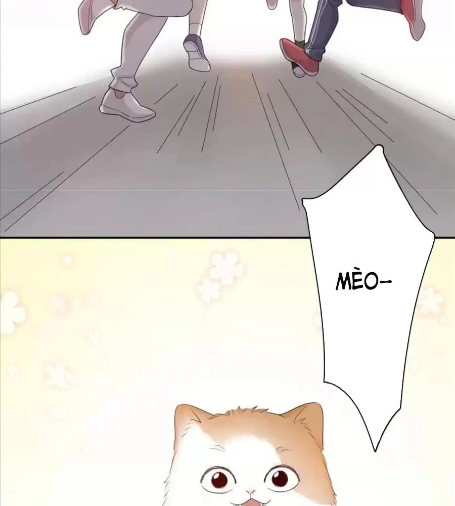 Giờ nay cô ấy cũng rất dễ thương Chapter 61 - Trang 11