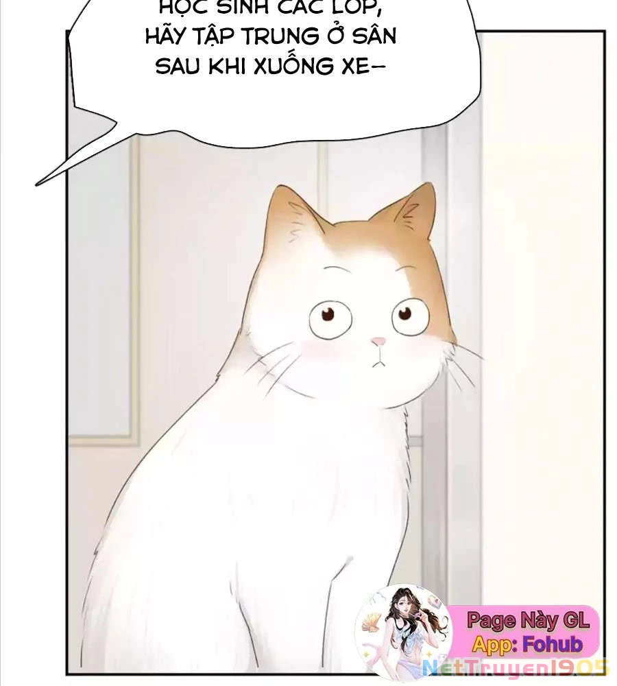 Giờ nay cô ấy cũng rất dễ thương Chapter 61 - Trang 19