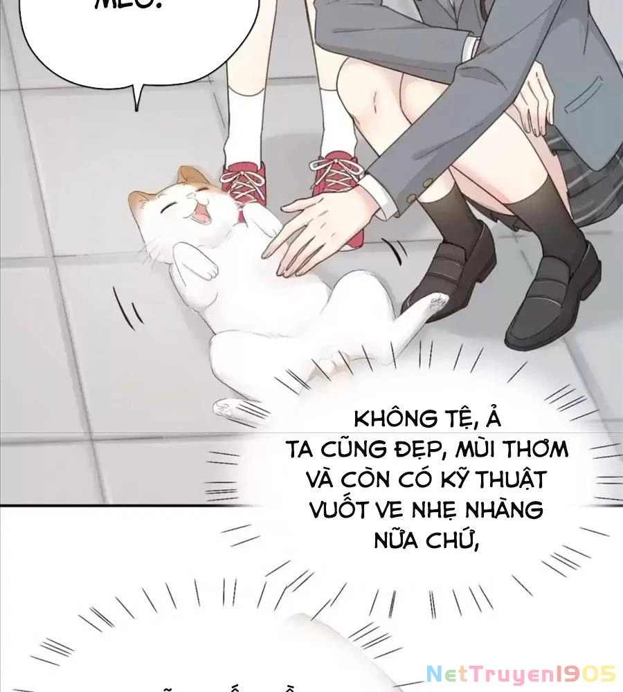 Giờ nay cô ấy cũng rất dễ thương Chapter 61 - Trang 26