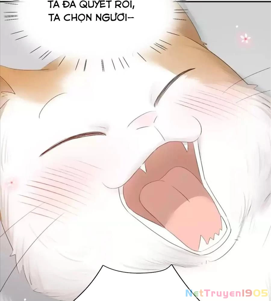 Giờ nay cô ấy cũng rất dễ thương Chapter 61 - Trang 27