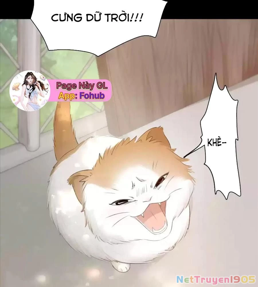 Giờ nay cô ấy cũng rất dễ thương Chapter 61 - Trang 4