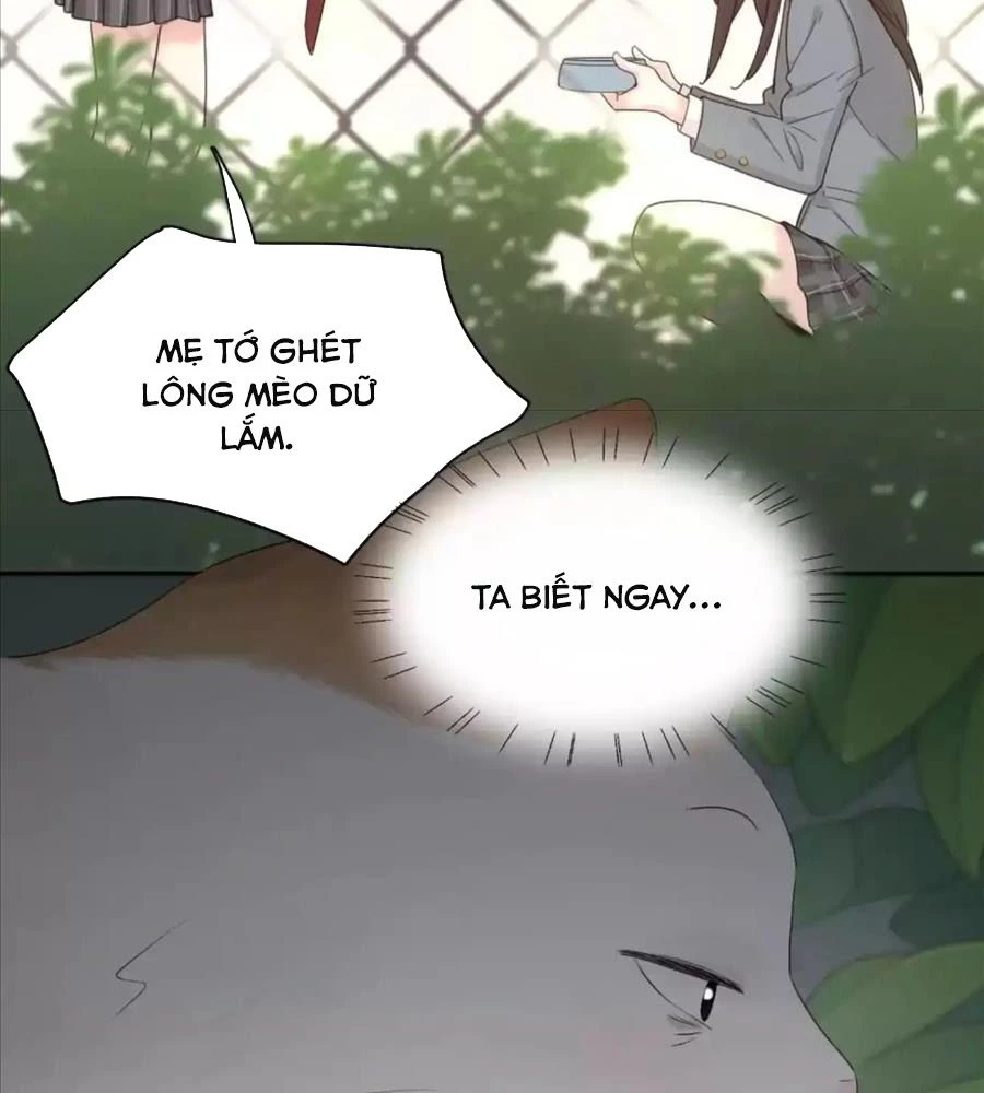 Giờ nay cô ấy cũng rất dễ thương Chapter 61 - Trang 49