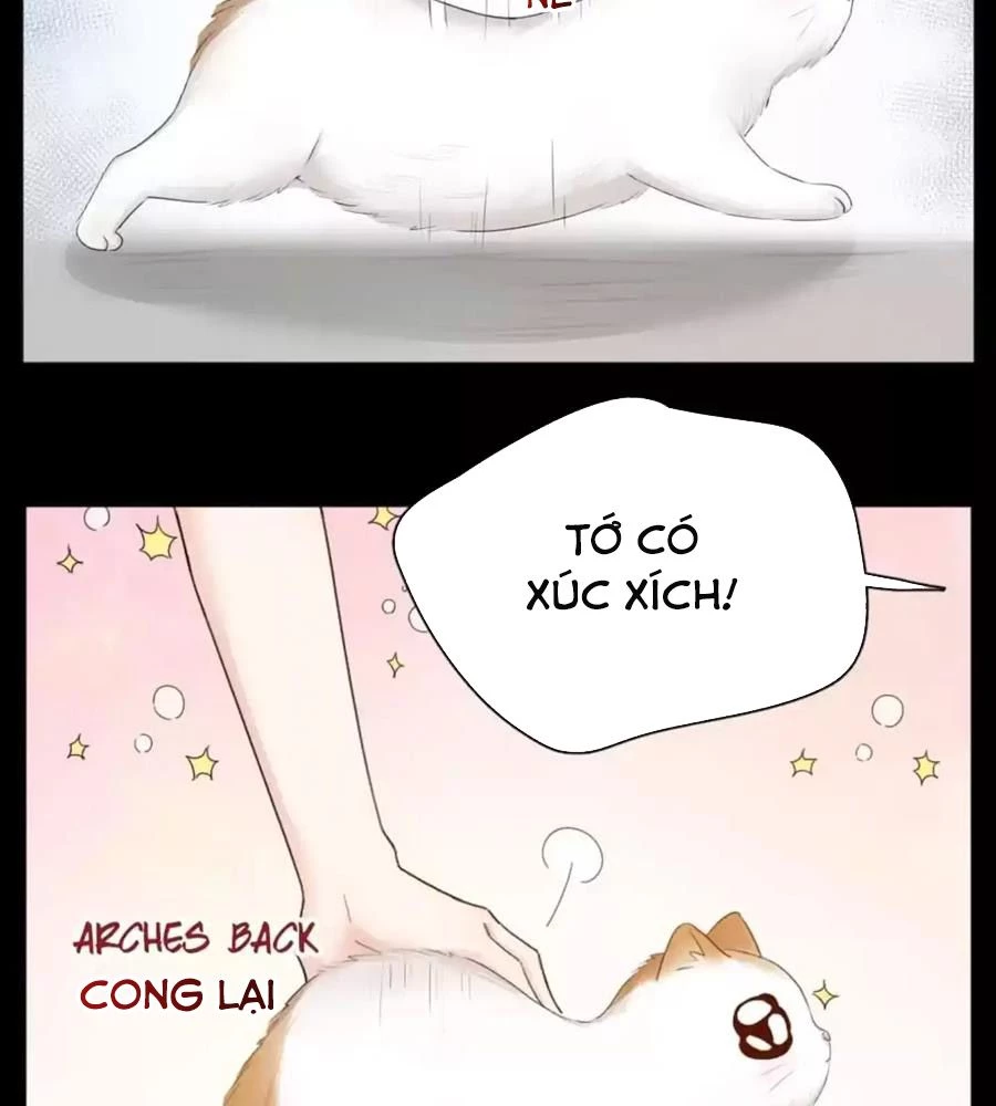 Giờ nay cô ấy cũng rất dễ thương Chapter 61 - Trang 6