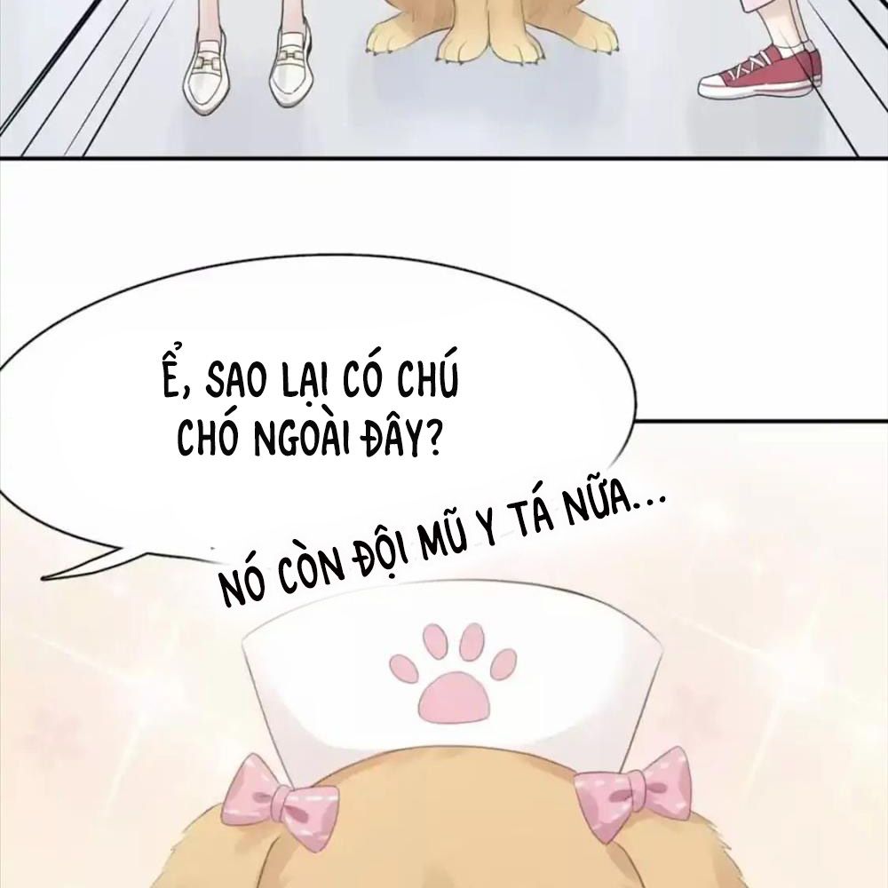 Giờ nay cô ấy cũng rất dễ thương Chapter 87 - Trang 17
