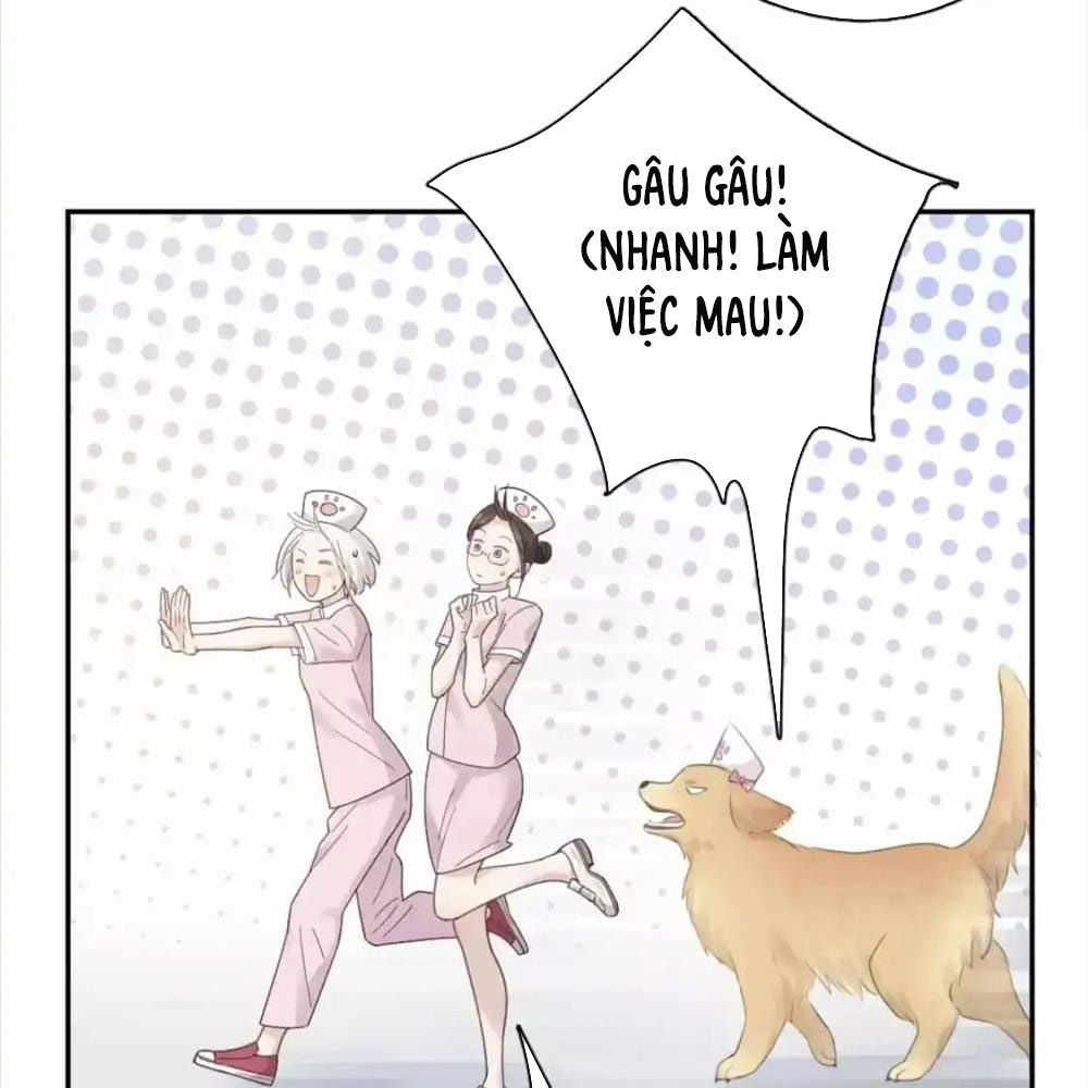 Giờ nay cô ấy cũng rất dễ thương Chapter 87 - Trang 19