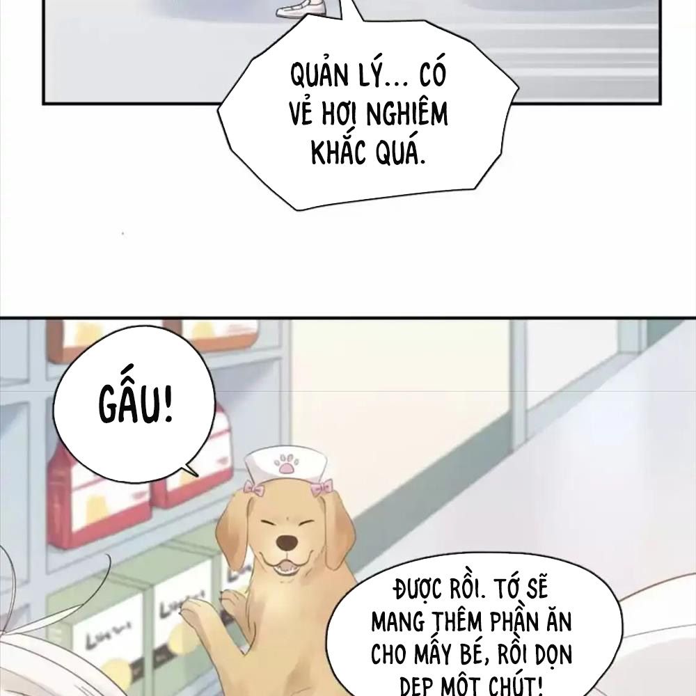 Giờ nay cô ấy cũng rất dễ thương Chapter 87 - Trang 20