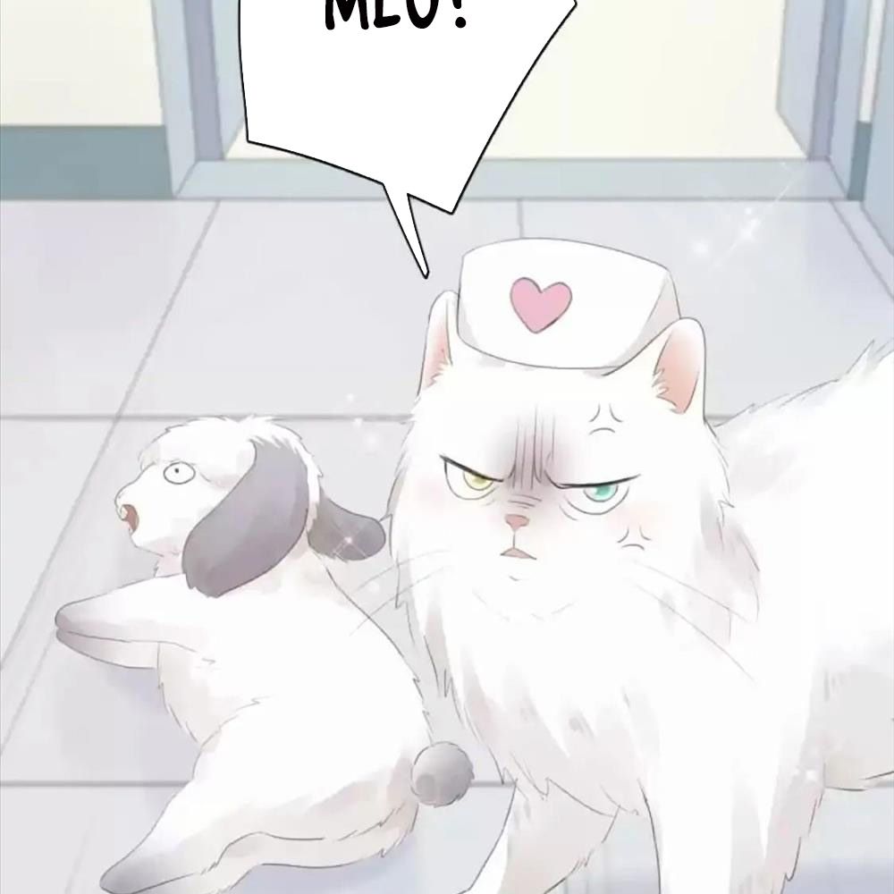 Giờ nay cô ấy cũng rất dễ thương Chapter 87 - Trang 36