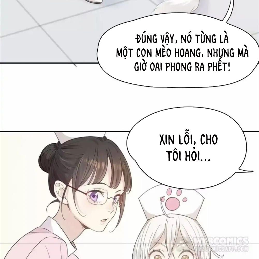 Giờ nay cô ấy cũng rất dễ thương Chapter 87 - Trang 39