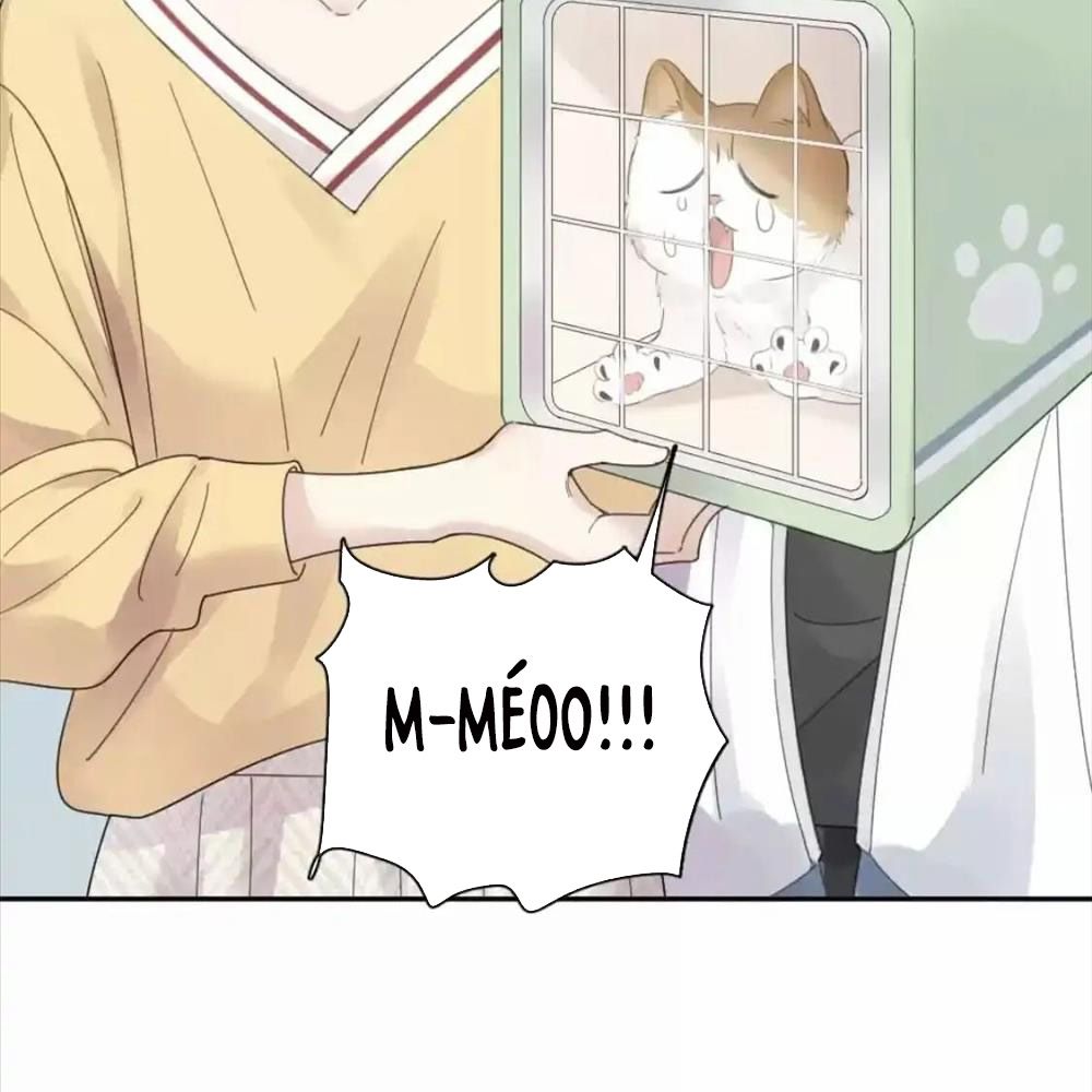 Giờ nay cô ấy cũng rất dễ thương Chapter 87 - Trang 42