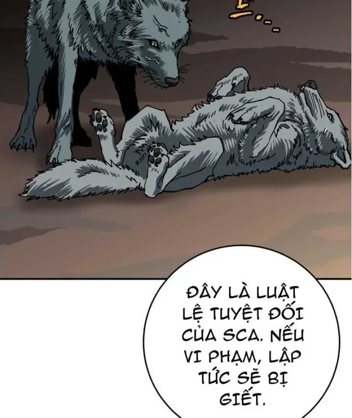 Góa Phu Tận Thế Chapter 27 - Trang 50