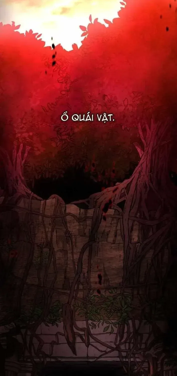 Gray Ash: Cuộc Sống Mới Tại Thành Phố Dungeon Chapter 1 - Trang 5