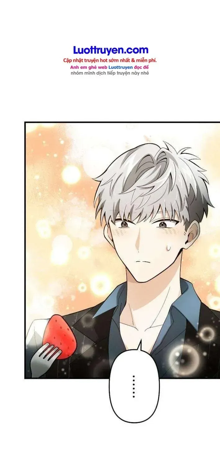 Gray Ash: Cuộc Sống Mới Tại Thành Phố Dungeon Chapter 17 - Trang 12