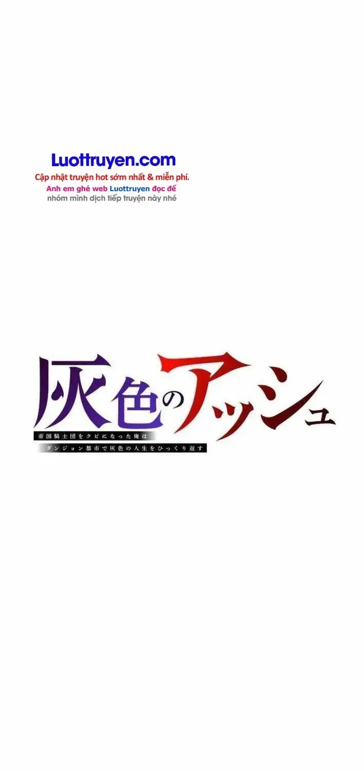 Gray Ash: Cuộc Sống Mới Tại Thành Phố Dungeon Chapter 3 - Trang 17