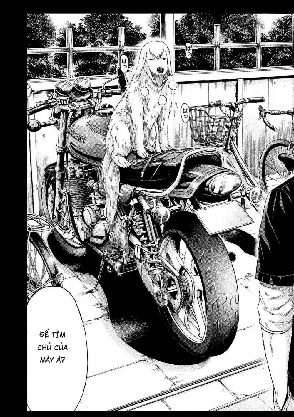 Great Teacher Onizuka : Paradise Lost Chapter 39 - Trang 6