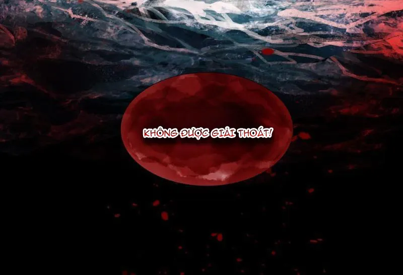 Hải Đạo Chapter 4 - Trang 41