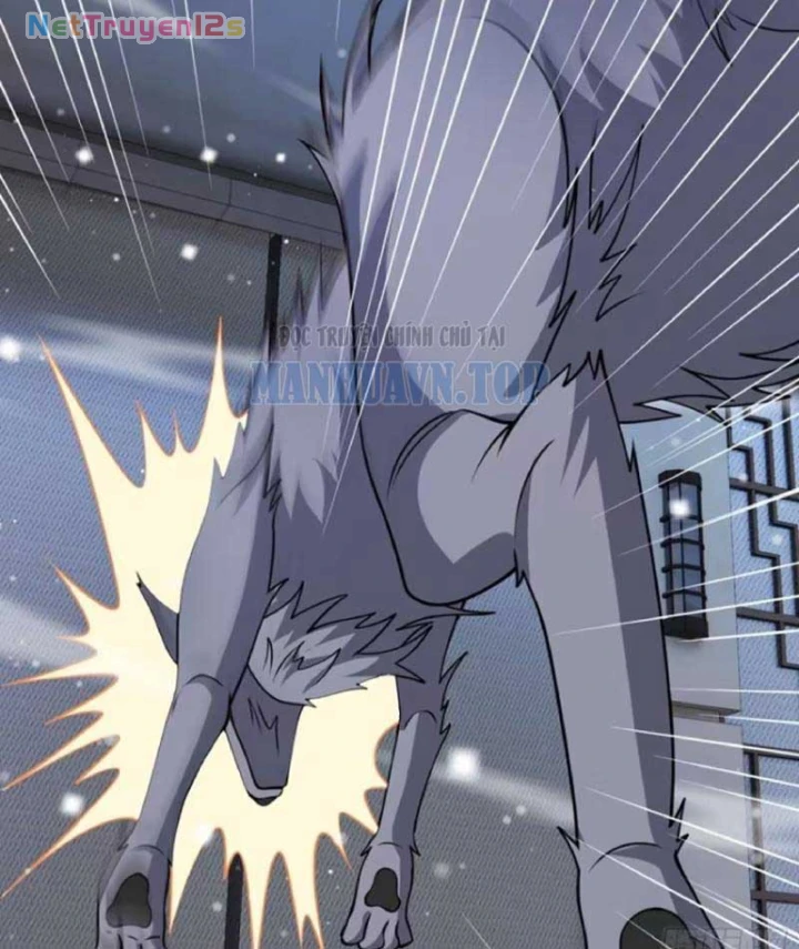Hàn Băng Tận Thế: Ta Tích Trữ Trăm Tỷ Vật Tư Chapter 115 - Trang 21