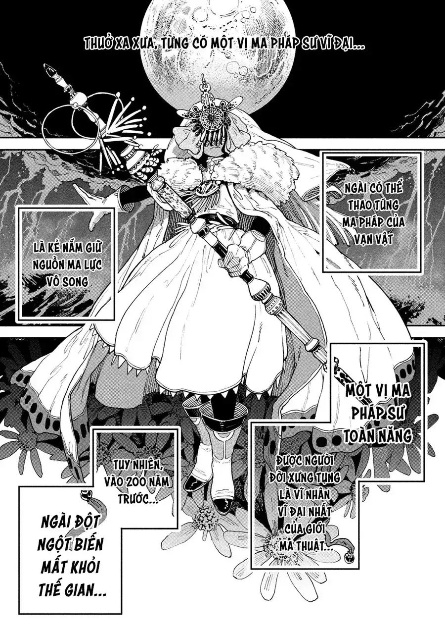 Hành Trình Của Nàng Dark Elf Với Ma Lực Tàn Phai Chapter 1 - Trang 5