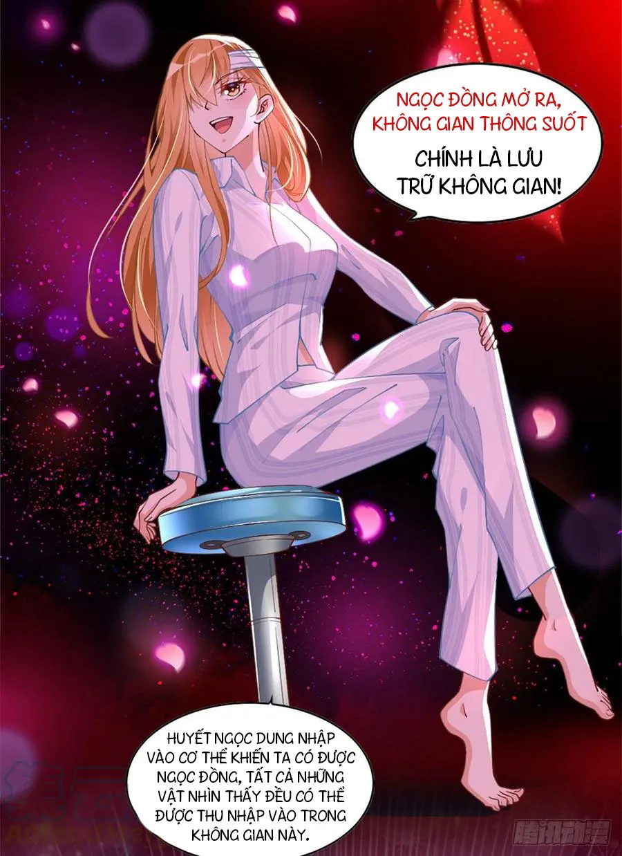 Hào môn quật khởi - trùng sinh vườn trường thương nữ Chapter 2 - Trang 12