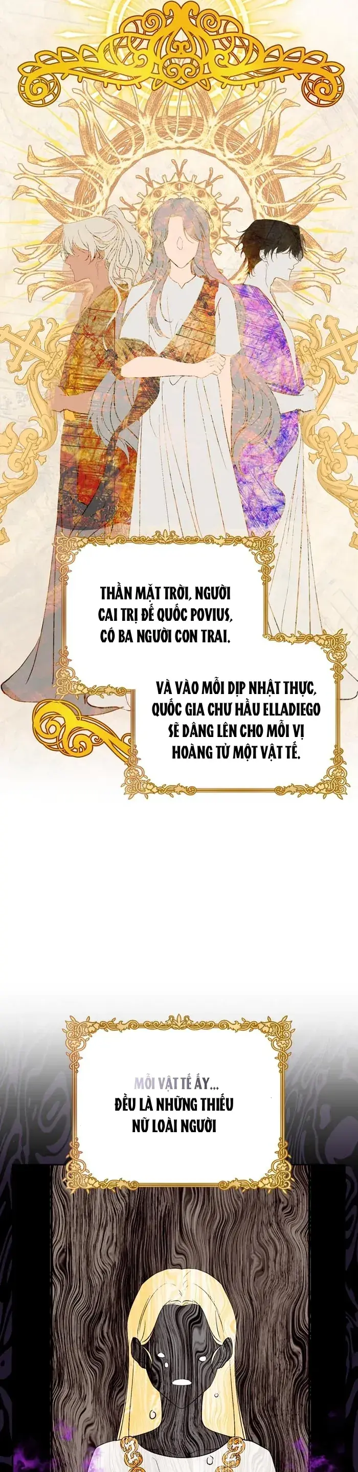 Hào Quang Rực Rỡ Chapter 1 - Trang 24