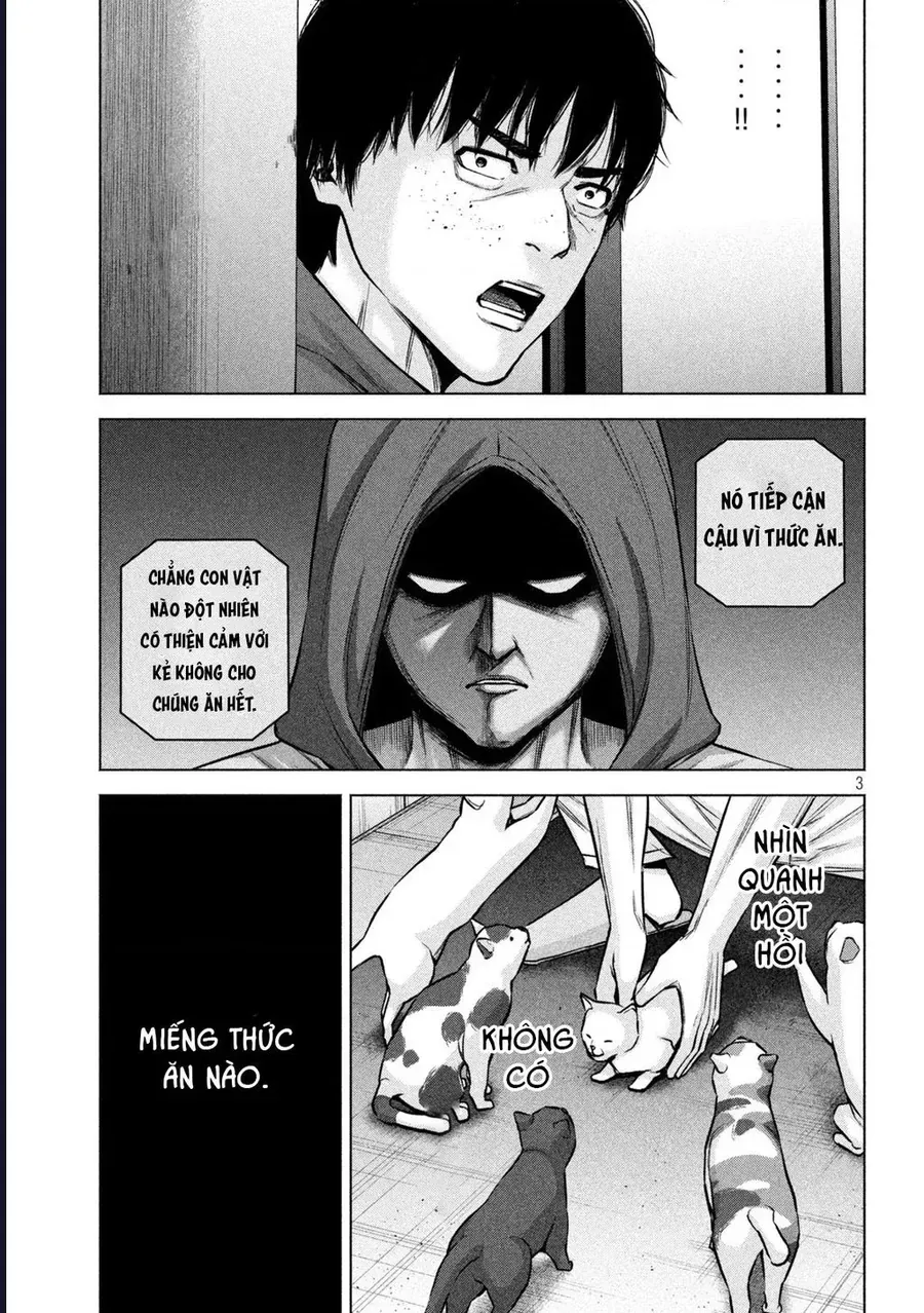 Hãy Gửi Lời Chào Của Tôi Tới Kenshiro Chapter 65 - Trang 6