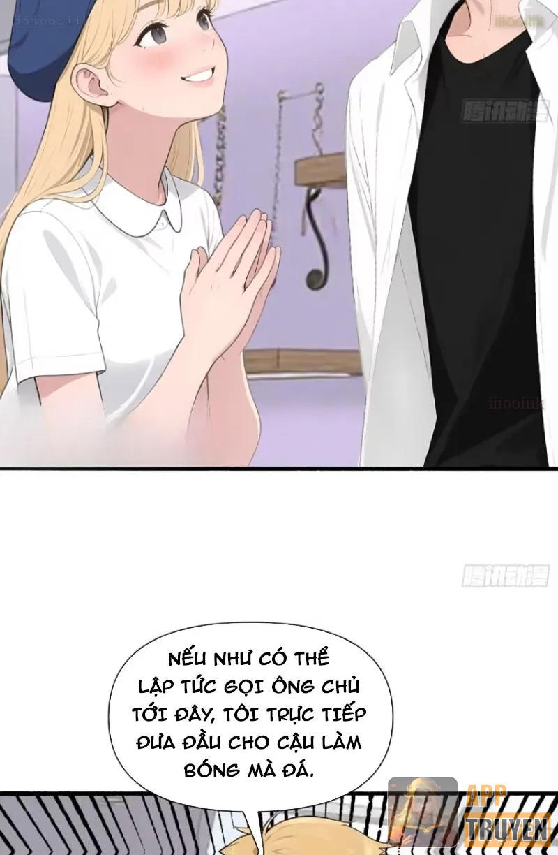 Hệ Thống Hoàn Tiền: Vô Hạn Tự Do Tài Chính Chapter 27 - Trang 10