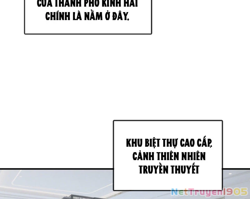 Hệ Thống Hoàn Tiền: Vô Hạn Tự Do Tài Chính Chapter 3 - Trang 15