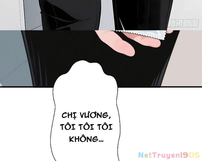Hệ Thống Hoàn Tiền: Vô Hạn Tự Do Tài Chính Chapter 5 - Trang 16