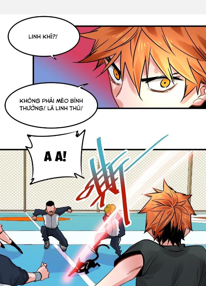 Hệ Thống Thôn Phệ Bá Đạo Chapter 16 - Trang 2