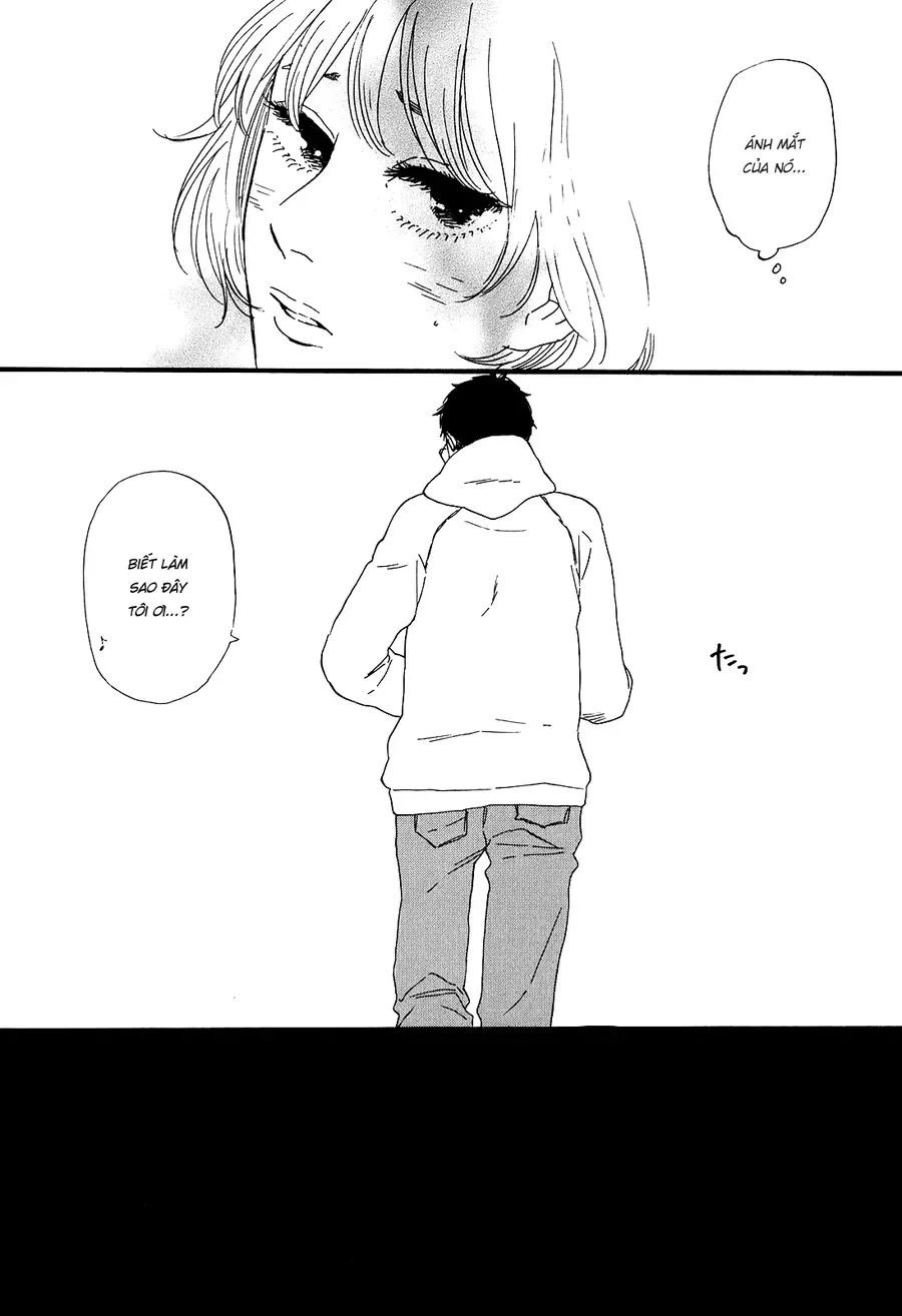 Hibari No Asa Chapter 1 - Trang 19
