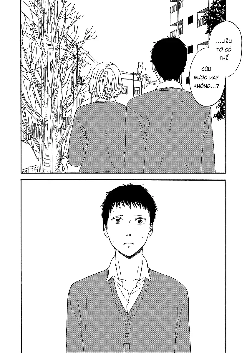 Hibari No Asa Chapter 13 - Trang 19