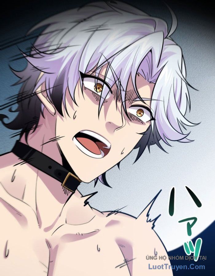 Hiệp Sĩ Chân Lý Chapter 1 - Trang 9