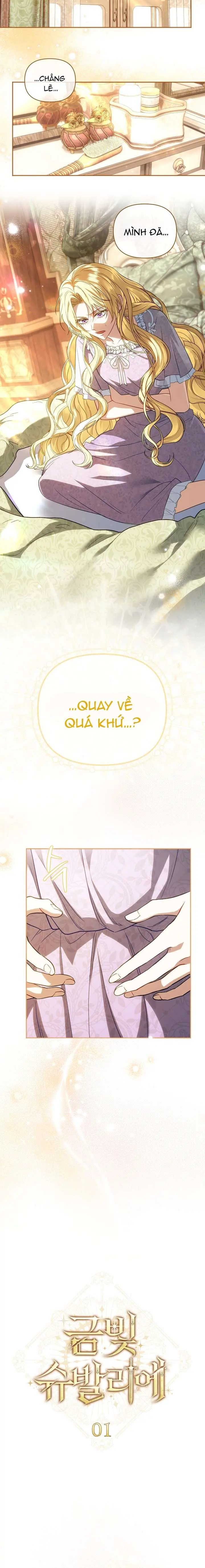 Hiệp Sĩ Vàng Chapter 1 - Trang 28